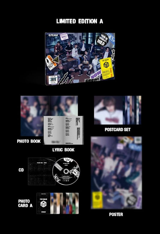 &TEAM - 1st Album [FIRST HOWLING : NOW] (Limited A)